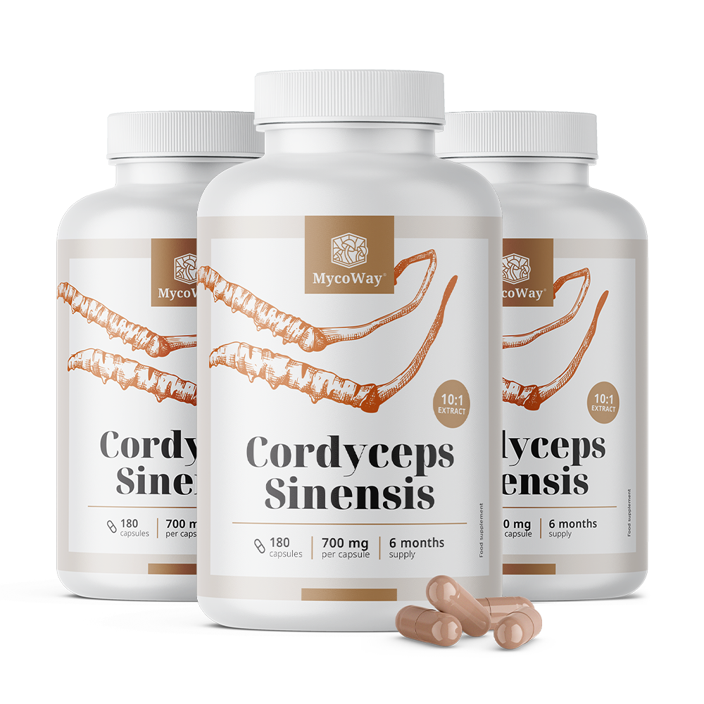 Cordyceps sinensis 1400 mg - ekstrakt 10:1.