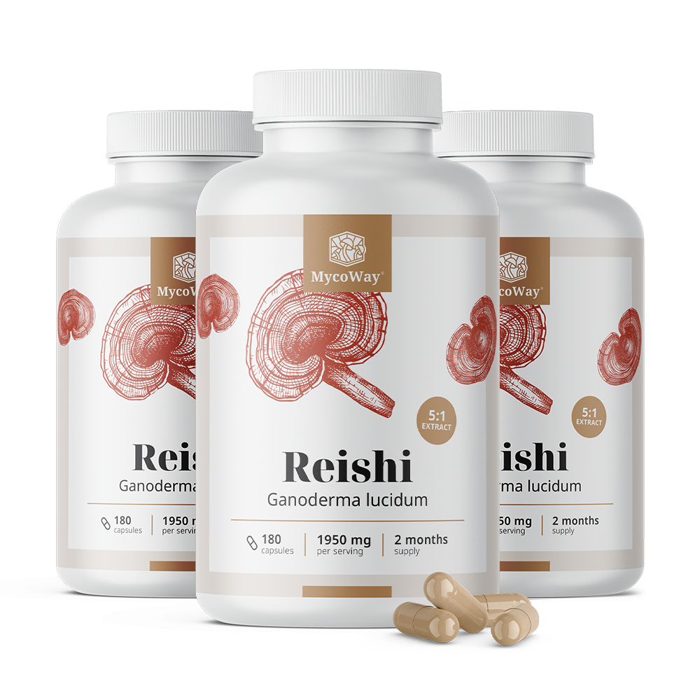 Reishi 1950 mg - ekstrakt 5:1.