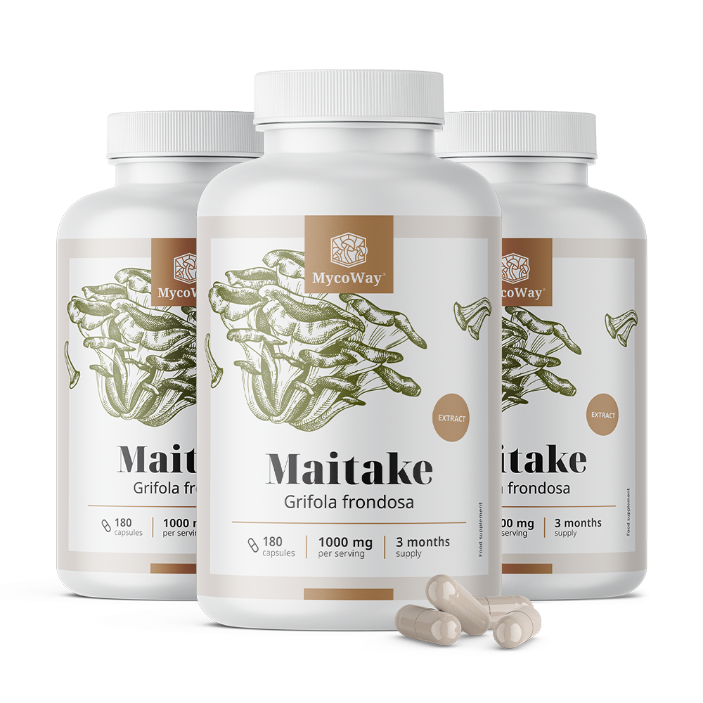 Maitake 1000 mg - ekstrakt.