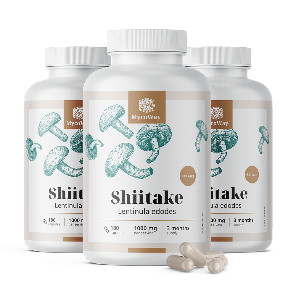 Shiitake 1000 mg - ekstrakt.