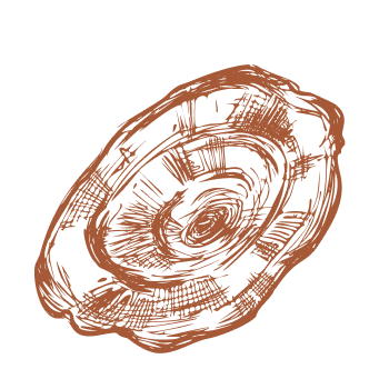 Napravite korak prema vitalnosti i snazi