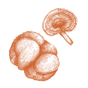 Snaga i energija iz prirode