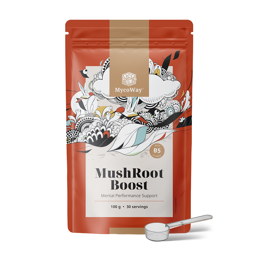 MushRoot Boost – napitak za mentalnu sposobnost.