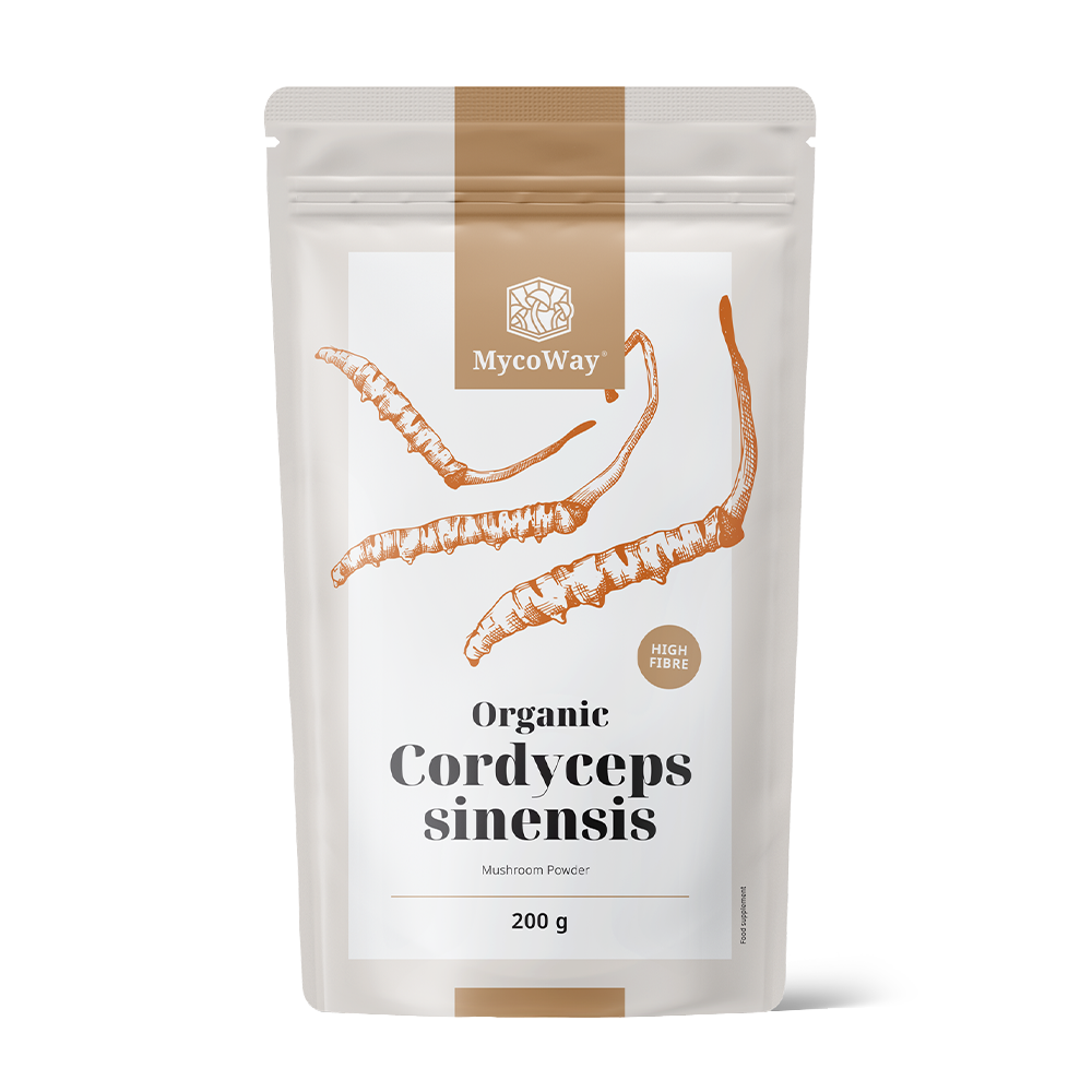 BIO Cordyceps sinensis u prahu.