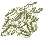 Pobrinite se za svoje tijelo darovima koje nudi priroda.