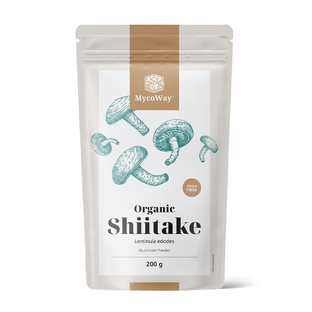 BIO Shiitake u prahu.