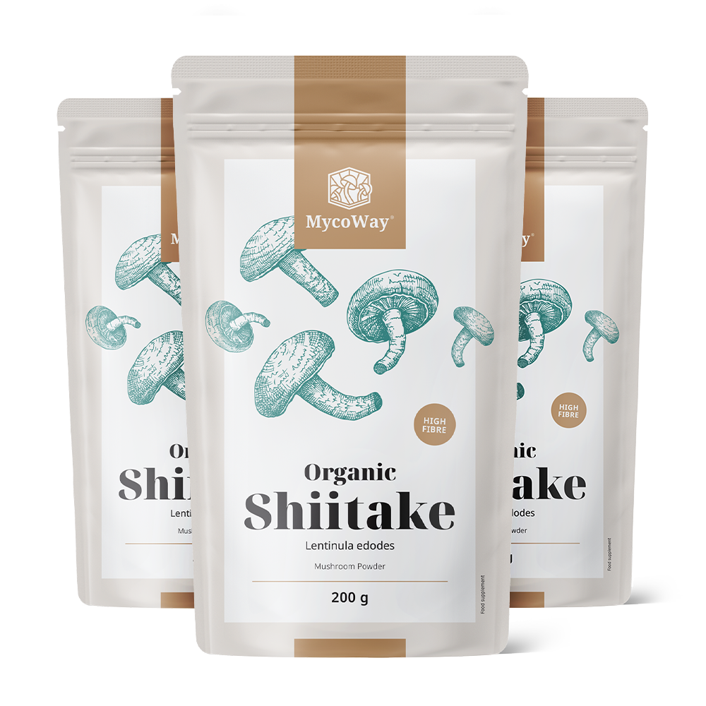 BIO Shiitake u prahu