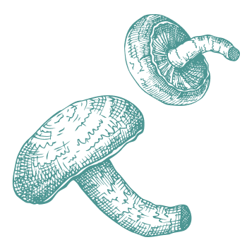 Višetisućljetna tradicija za podršku tijelu
