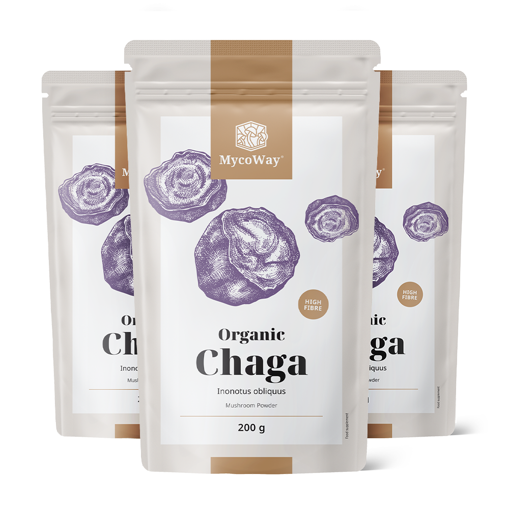 BIO Chaga u prahu