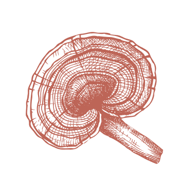 Vratite se tradiciji