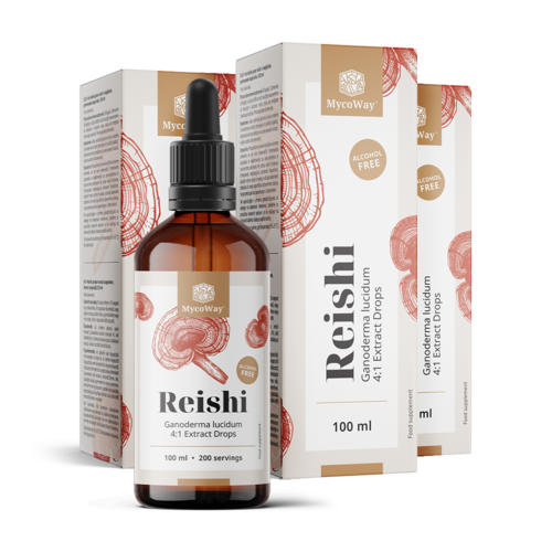 3x Reishi – ekstrakt u kapima, ukupno 300 ml