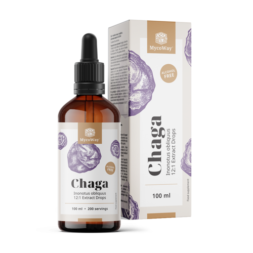 Chaga – ekstrakt u kapima, 100 ml