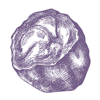 Jednostavan način za očuvanje prirodne energije.