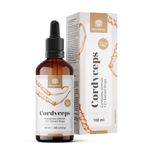 Cordyceps – ekstrakt u kapima, 100 ml